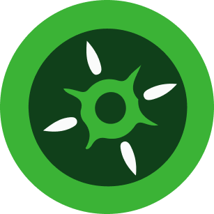 Verifier Icon