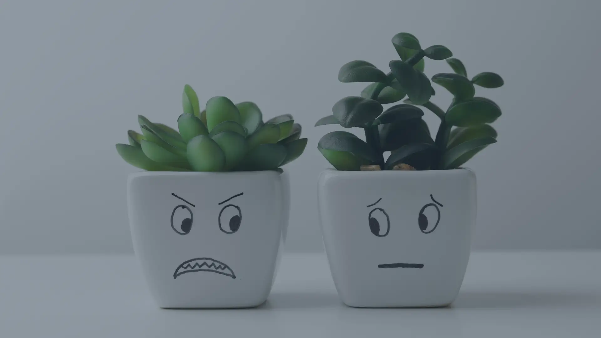 Inteligencia Emocional en Capital Riesgo