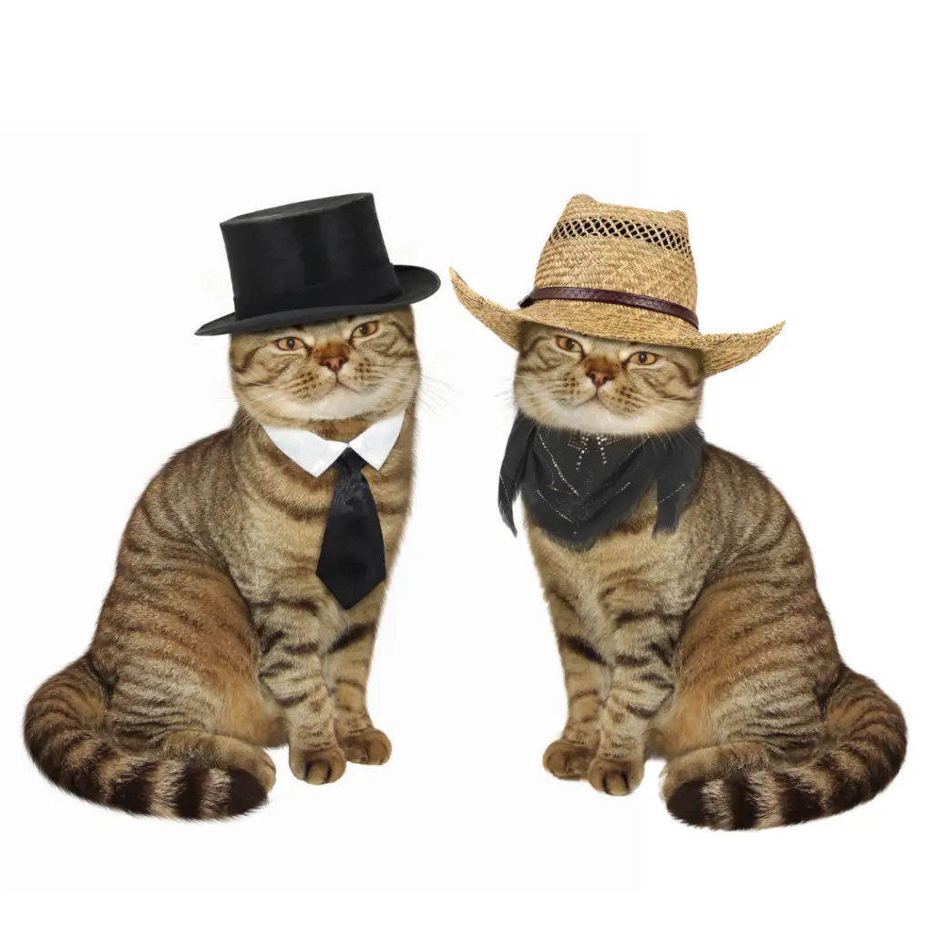 Adaptability Matters