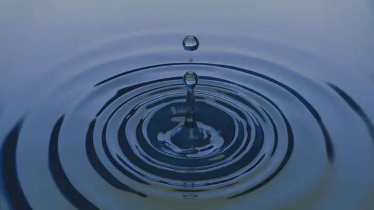 O efeito de cascata
