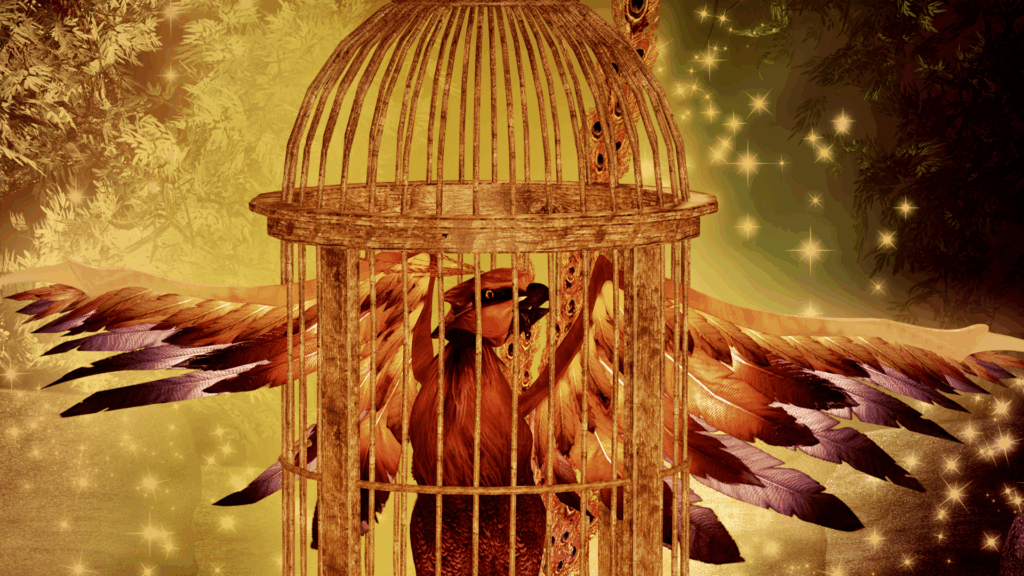 SP Experiencers - Don't Cage the Flame