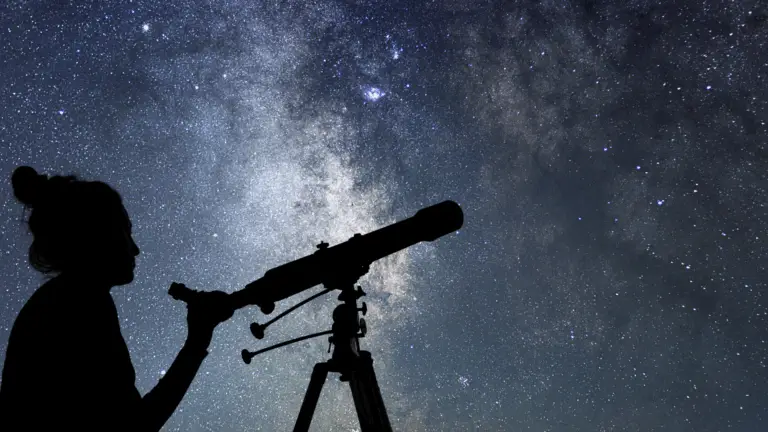 Ecos num universo indiferente: Os conceptualizadores do NT
